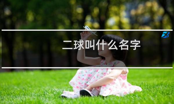 二球叫什么名字图片