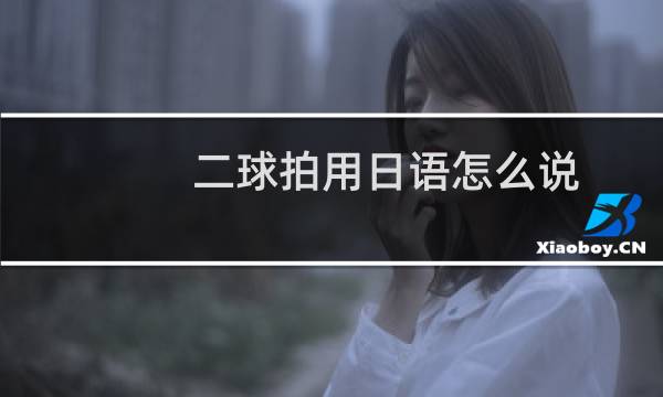 二球拍用日语怎么说图片