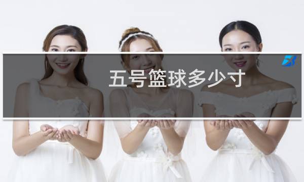 五号篮球多少寸图片