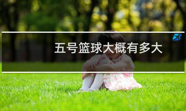 五号篮球大概有多大图片