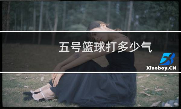 五号篮球打多少气图片