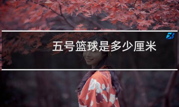 五号篮球是多少厘米图片
