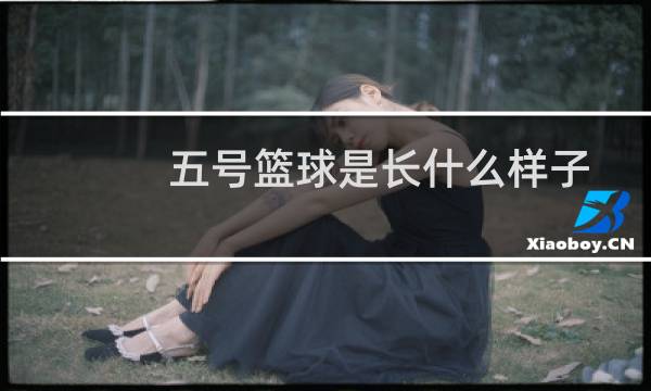 五号篮球是长什么样子图片