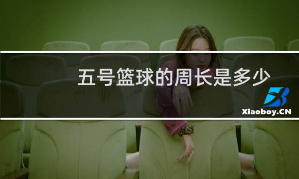 五号篮球的周长是多少图片