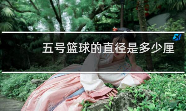 五号篮球的直径是多少厘米图片