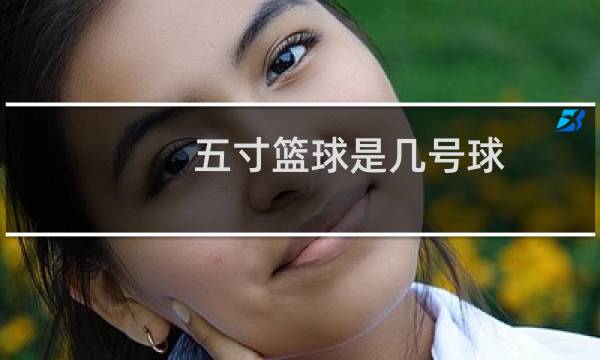 五寸篮球是几号球图片
