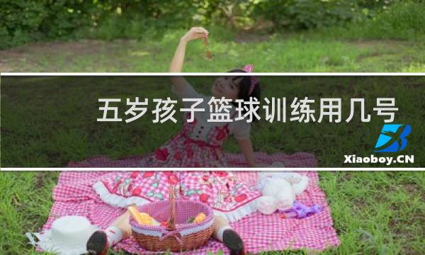五岁孩子篮球训练用几号球图片
