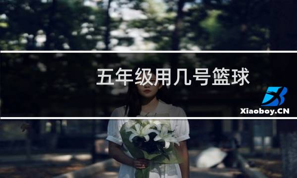 五年级用几号篮球图片