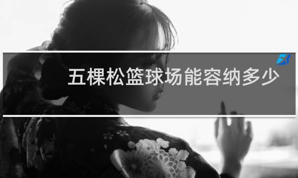五棵松篮球场能容纳多少人图片
