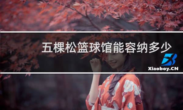 五棵松篮球馆能容纳多少人图片
