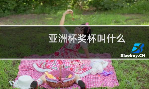 亚洲杯奖杯叫什么图片