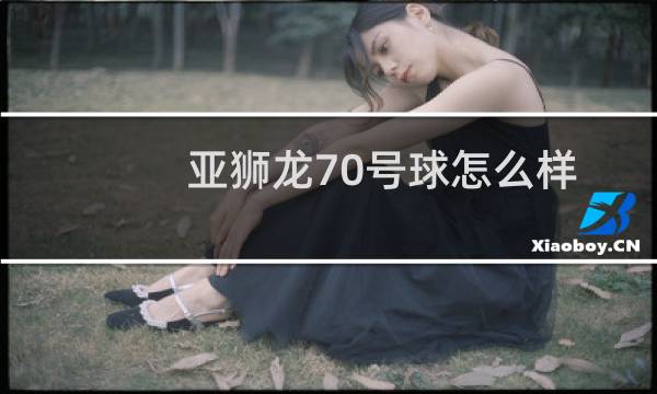 亚狮龙70号球怎么样图片