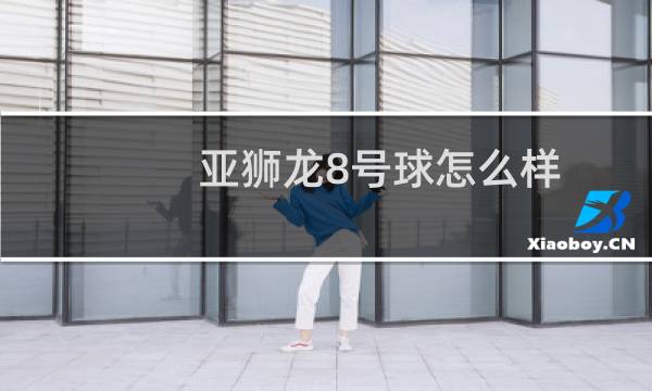 亚狮龙8号球怎么样图片