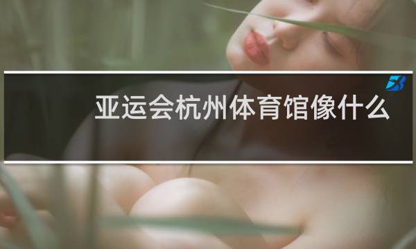 亚运会杭州体育馆像什么图片
