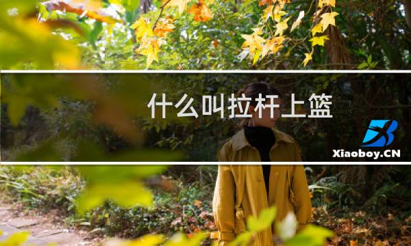 什么叫拉杆上篮图片