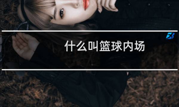 什么叫篮球内场图片