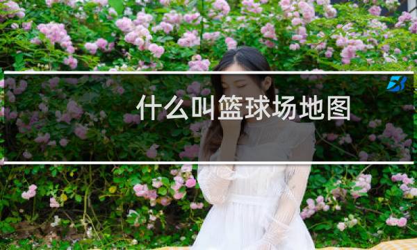 什么叫篮球场地图图片