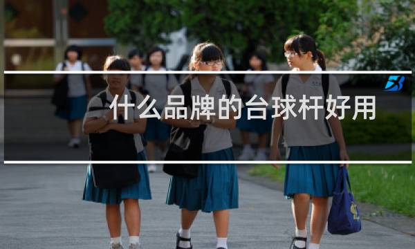 什么品牌的台球杆好用图片