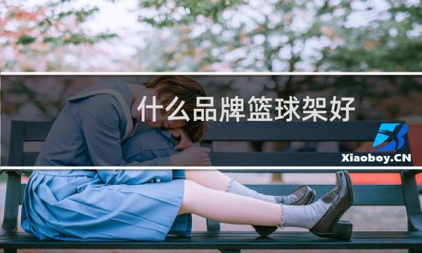 什么品牌篮球架好图片