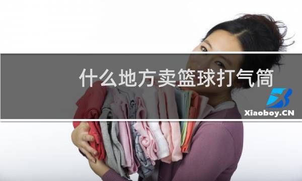 什么地方卖篮球打气筒图片
