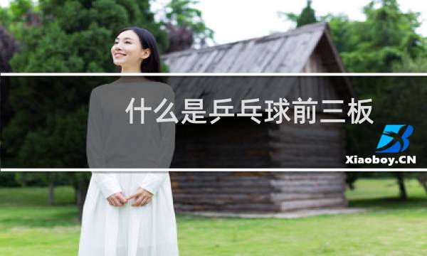 什么是乒乓球前三板图片