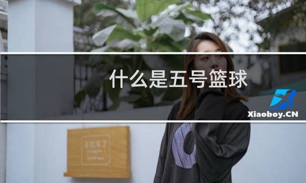 什么是五号篮球图片