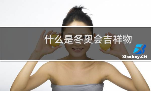 什么是冬奥会吉祥物图片