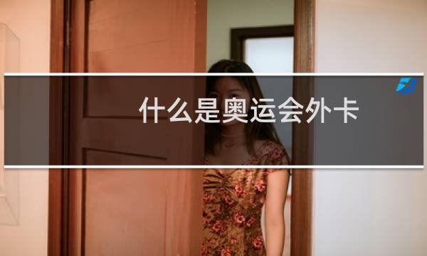 什么是奥运会外卡图片