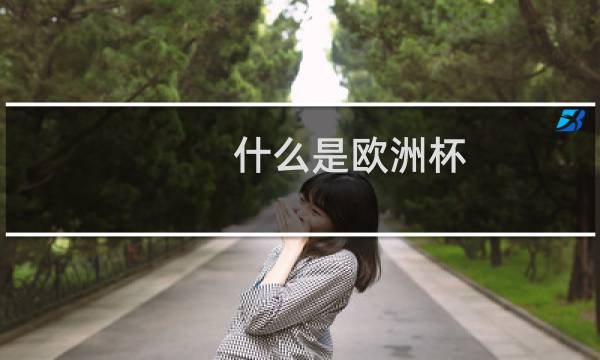 什么是欧洲杯图片