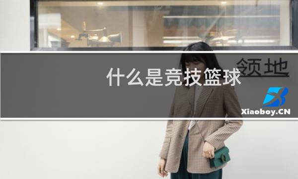 什么是竞技篮球图片