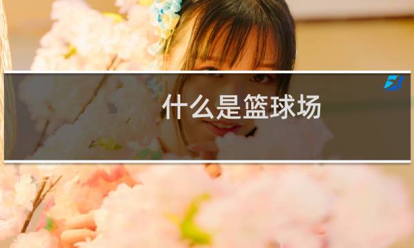 什么是篮球场图片