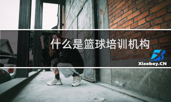 什么是篮球培训机构图片