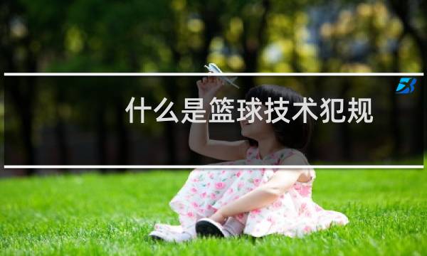 什么是篮球技术犯规图片