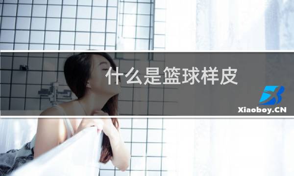 什么是篮球样皮图片