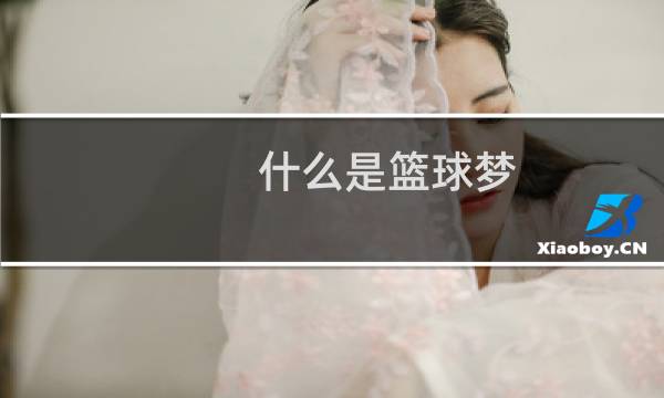 什么是篮球梦图片