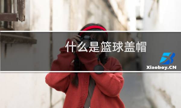 什么是篮球盖帽图片
