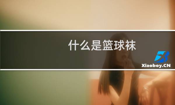 什么是篮球袜图片
