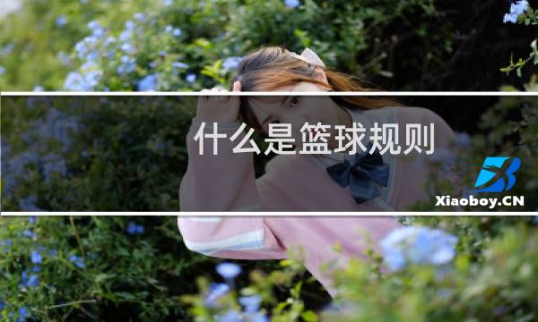 什么是篮球规则图片