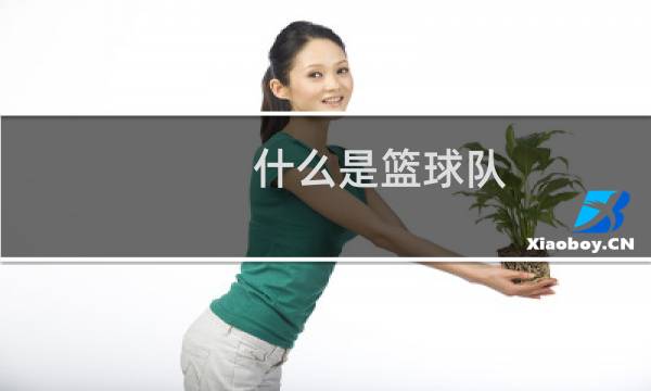 什么是篮球队图片