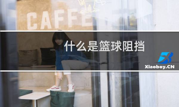 什么是篮球阻挡图片