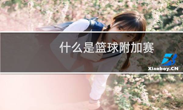 什么是篮球附加赛图片