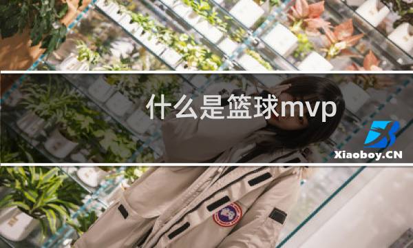 什么是篮球mvp图片