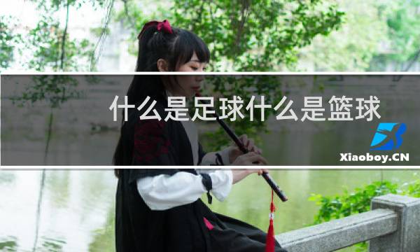 什么是足球什么是篮球图片