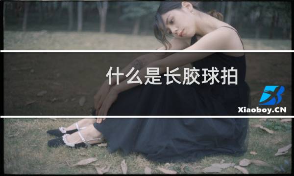 什么是长胶球拍图片