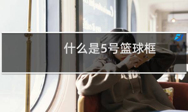 什么是5号篮球框图片