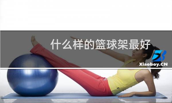 什么样的篮球架最好图片