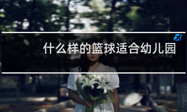 什么样的篮球适合幼儿园玩图片