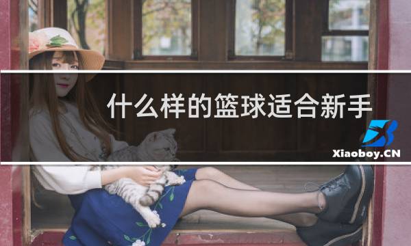 什么样的篮球适合新手图片