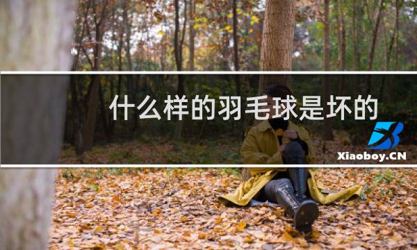 什么样的羽毛球是坏的图片