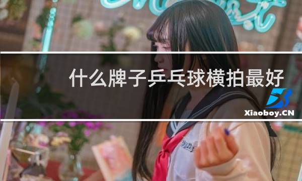 什么牌子乒乓球横拍最好图片